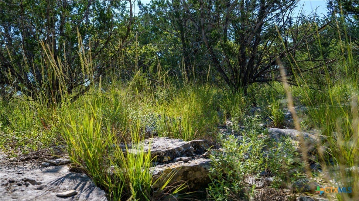 20.04 acres in Kerr County - photo 7