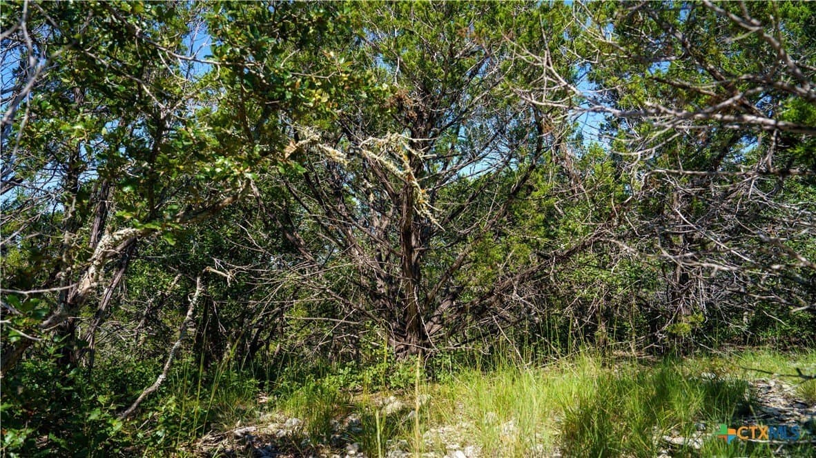20.04 acres in Kerr County - photo 13