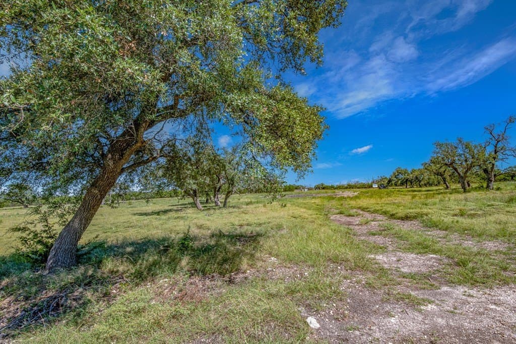 11.4 acres in Gillespie County gallery image 2