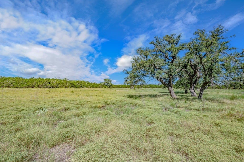 11.4 acres in Gillespie County gallery image 3