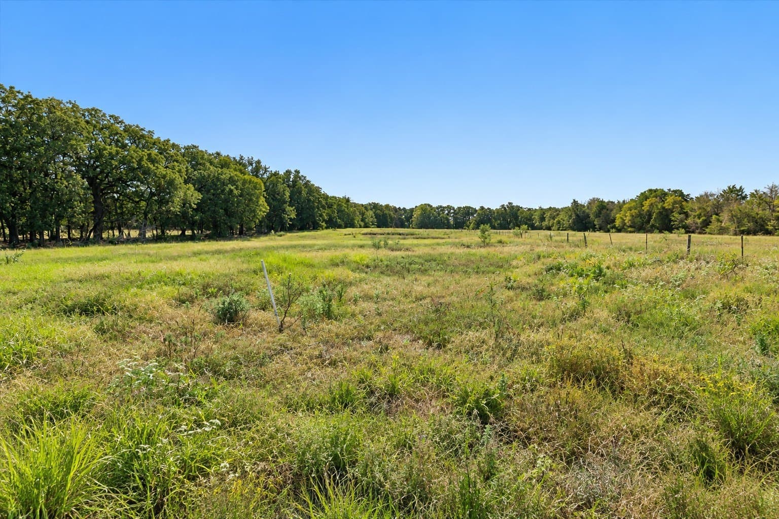 7.33 acres in Navarro County - photo 36