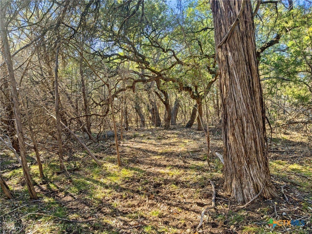 0.88 acres in Comal County gallery image 4