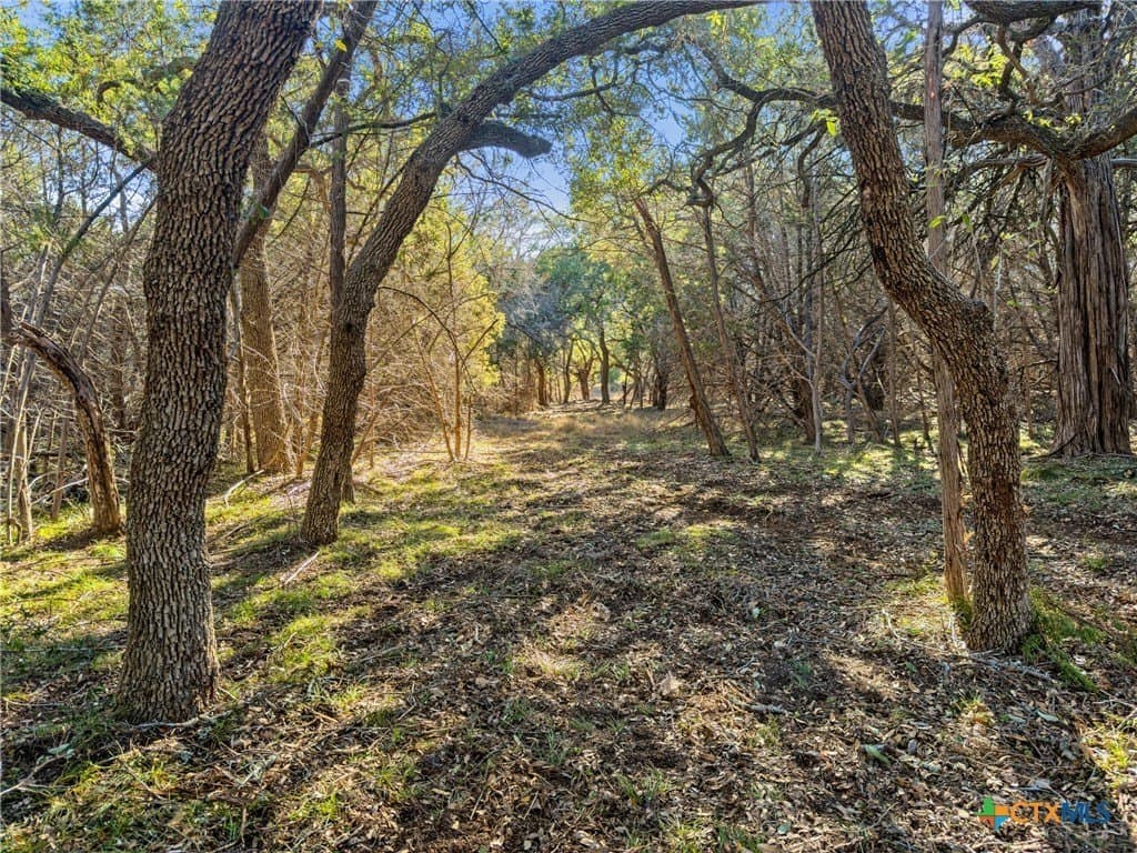 0.88 acres in Comal County gallery image 3