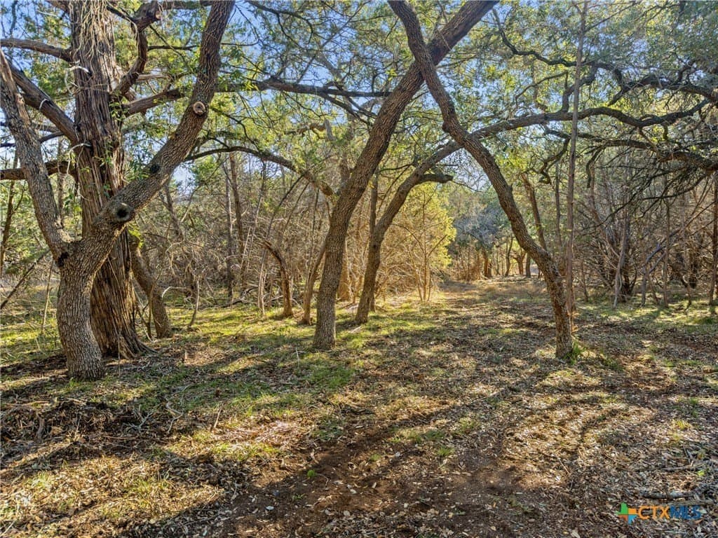 0.88 acres in Comal County gallery image 2