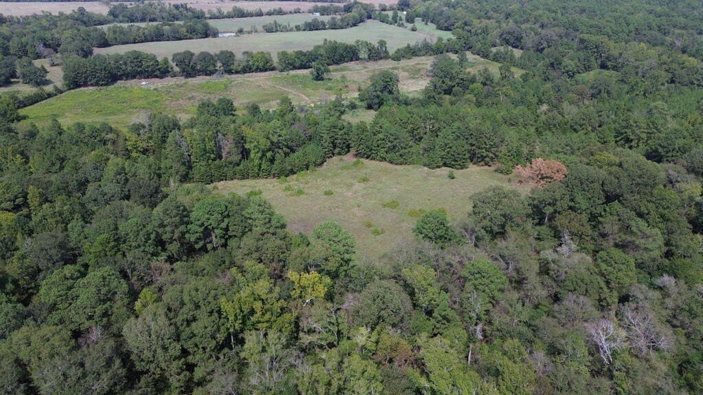 132 acres in Texas County - photo 6