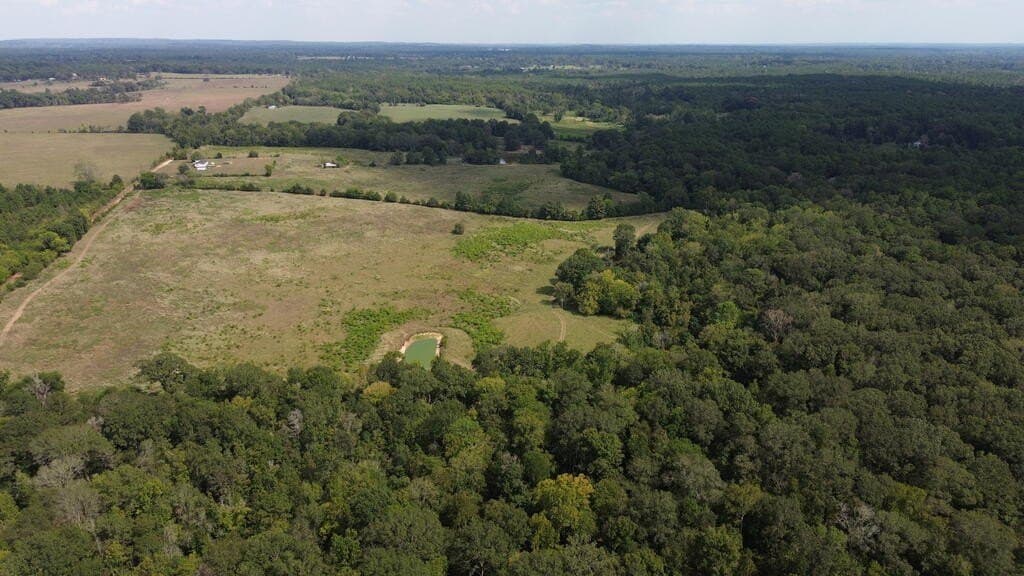132 acres in Texas County - photo 12