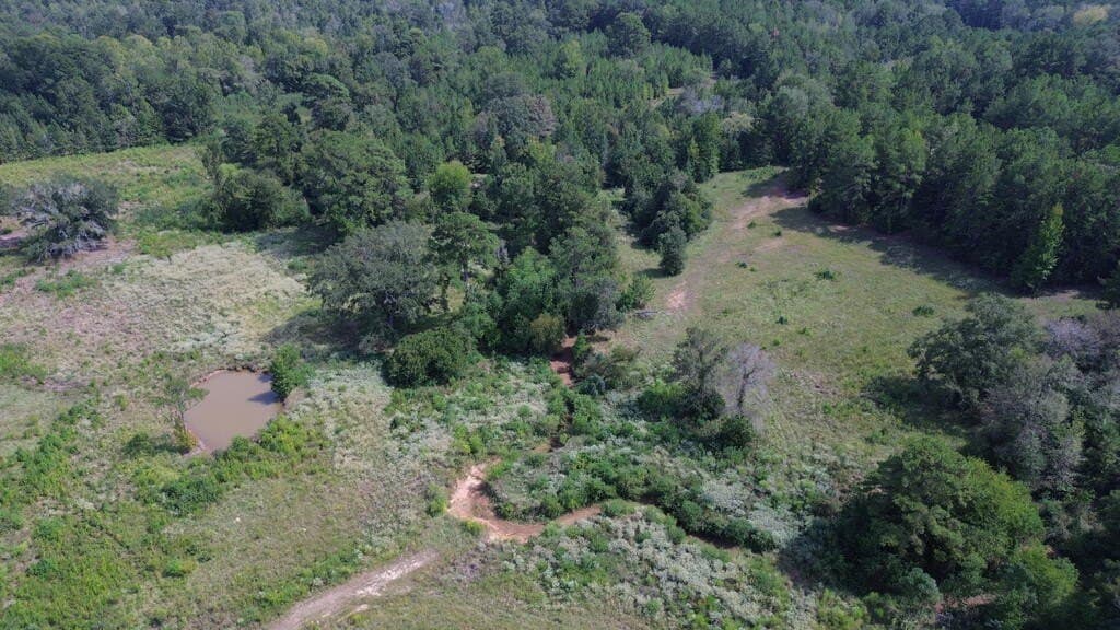 132 acres in Texas County - photo 3
