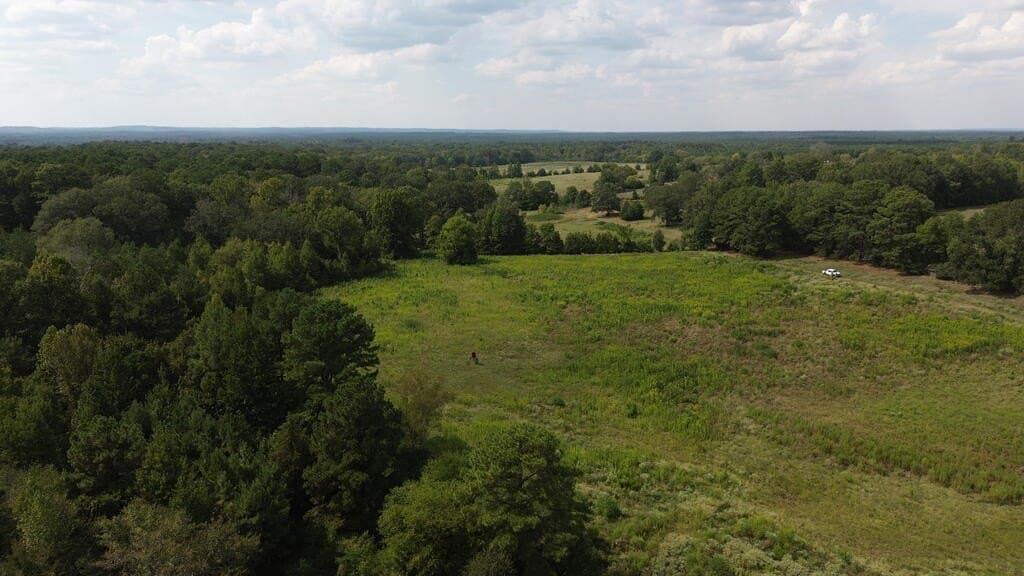 132 acres in Texas County - photo 5