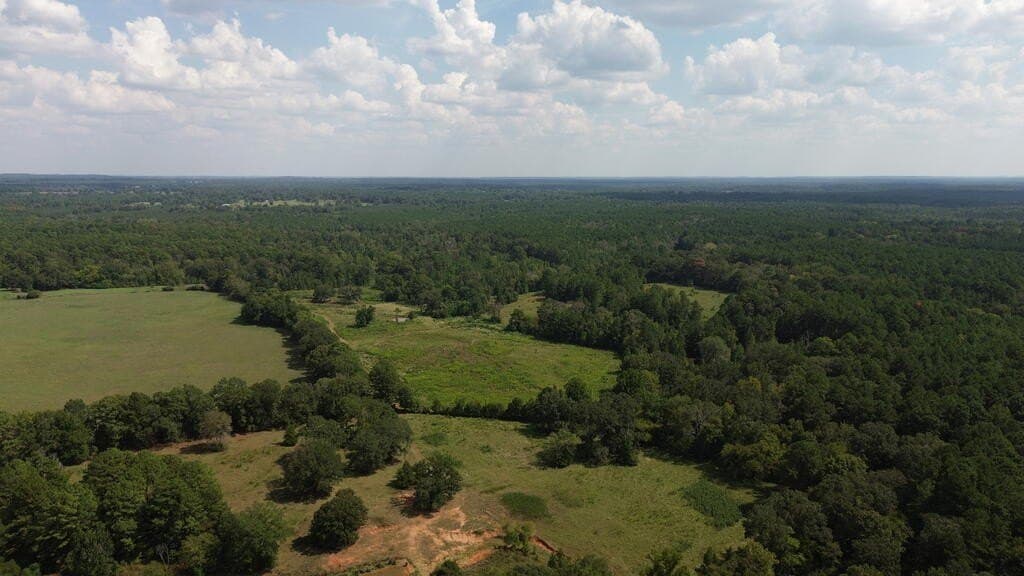 132 acres in Texas County - photo 18
