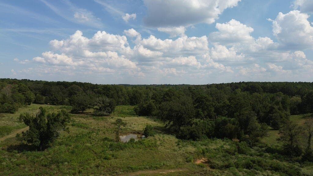 132 acres in Texas County - photo 20
