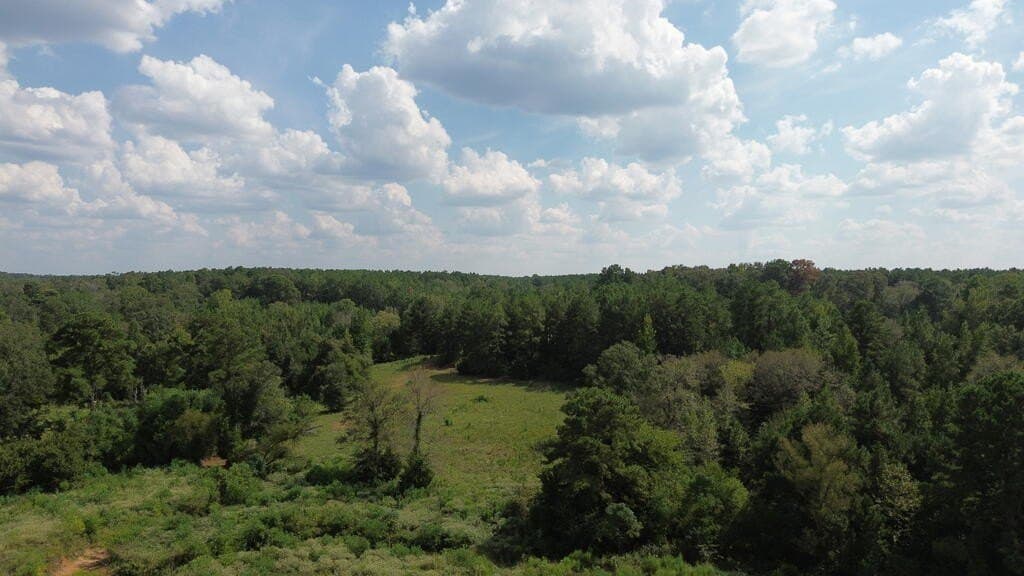 132 acres in Texas County - photo 2