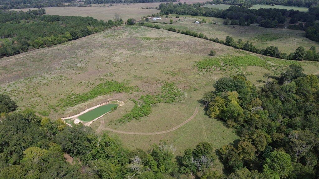 132 acres in Texas County - photo 11