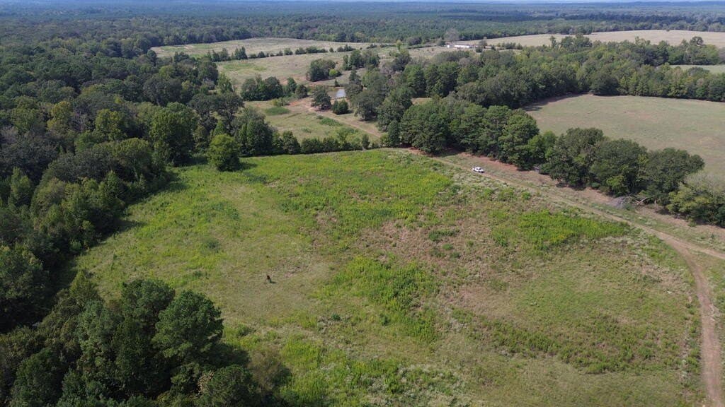 132 acres in Texas County - photo 4