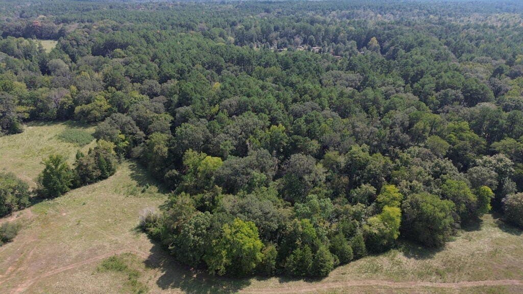 132 acres in Texas County - photo 17