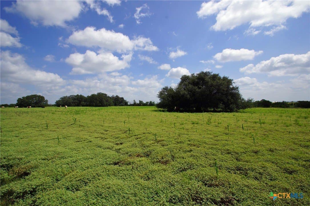 200 acres in Burnet County gallery image 2