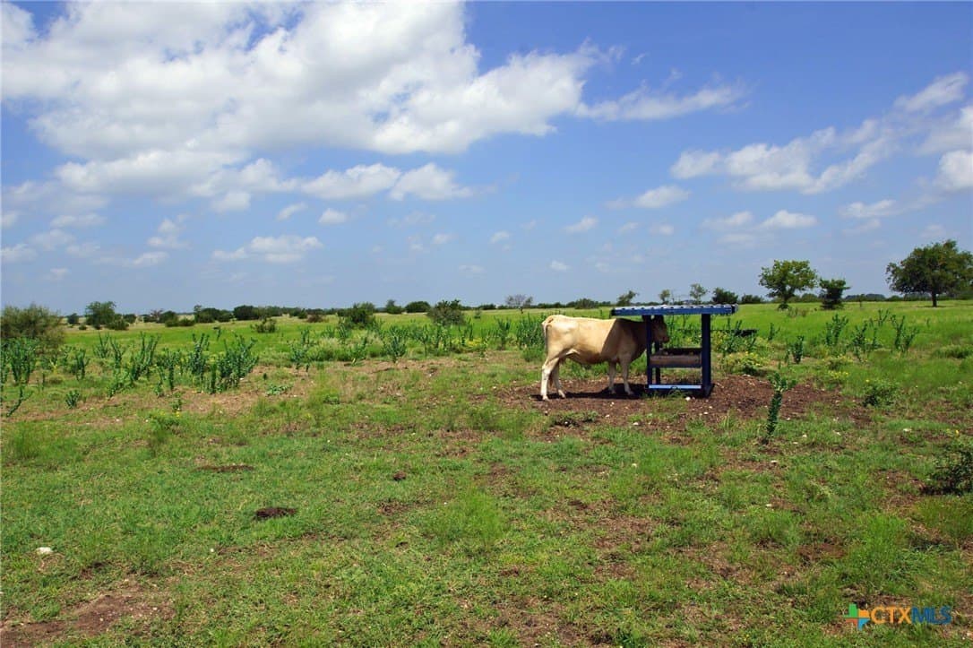 200 acres in Burnet County gallery image 4