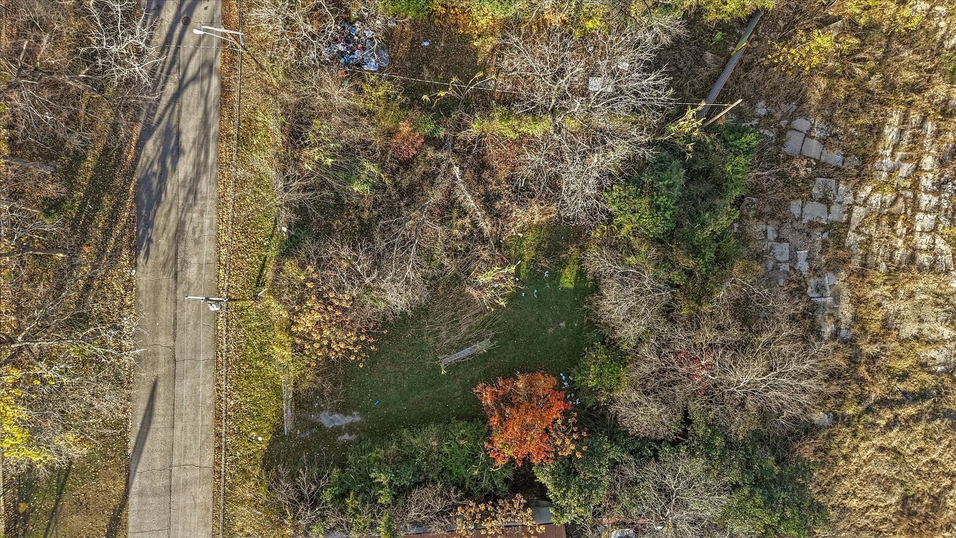 0.11 acres in Dallas County - photo 9