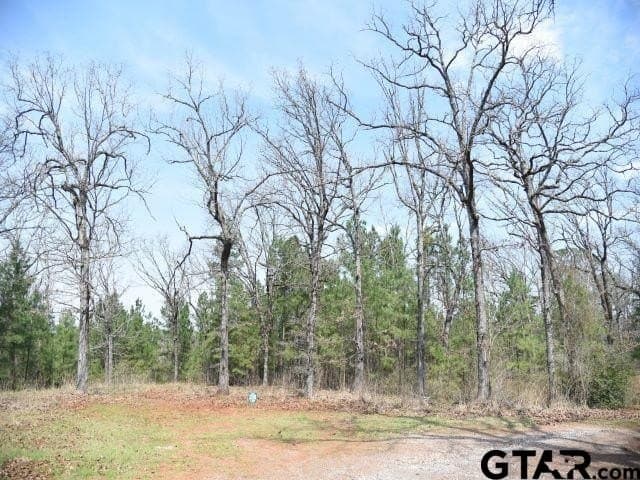 1.79 acres in Anderson County gallery image 2