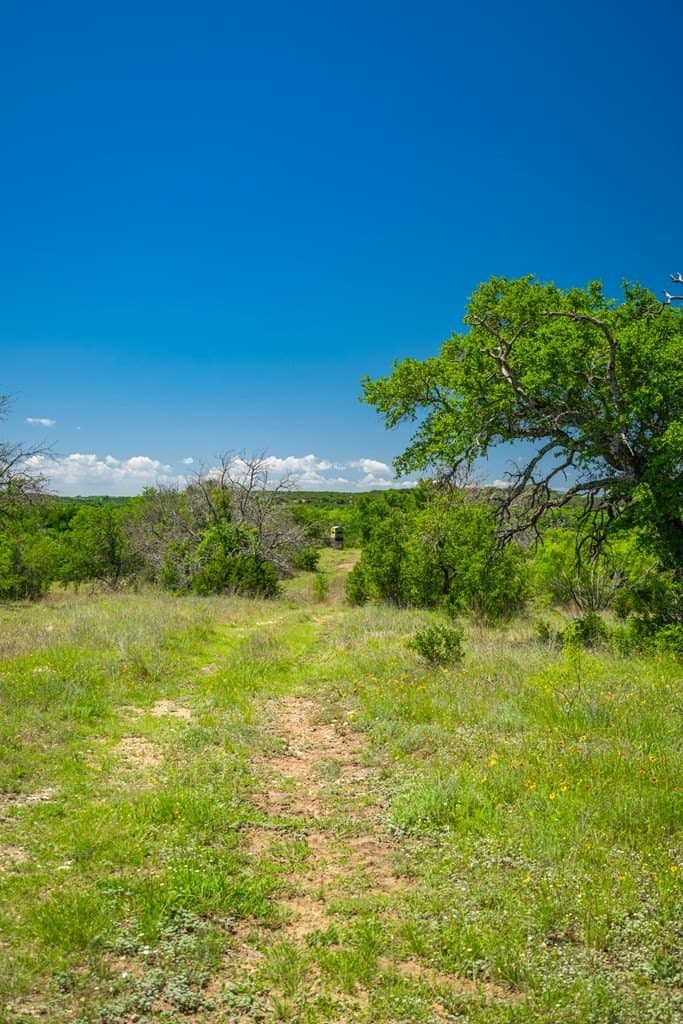 740 acres in Lampasas County - photo 14