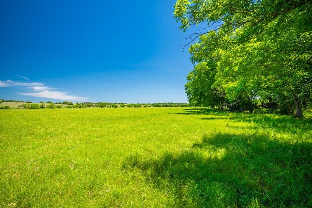 740 acres in Lampasas County - photo 17