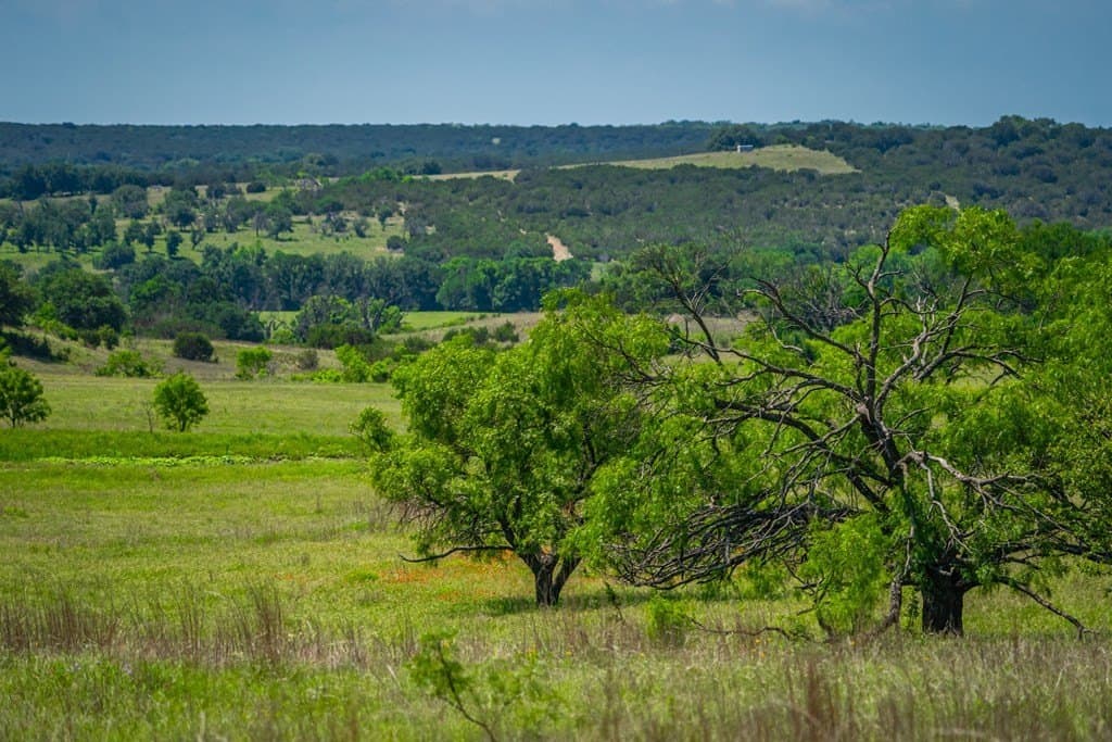740 acres in Lampasas County gallery image 3