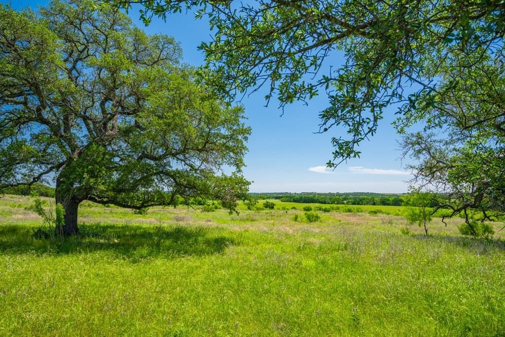 740 acres in Lampasas County gallery image 4