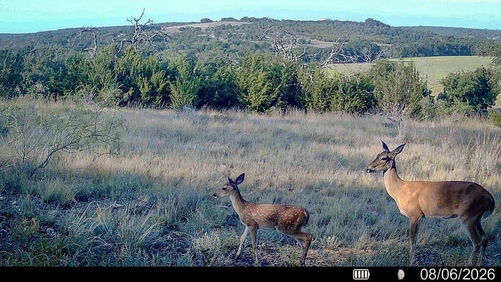 740 acres in Lampasas County - photo 44