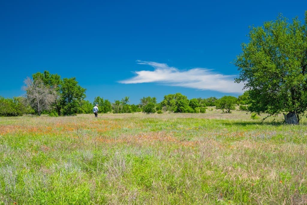 740 acres in Lampasas County - photo 13