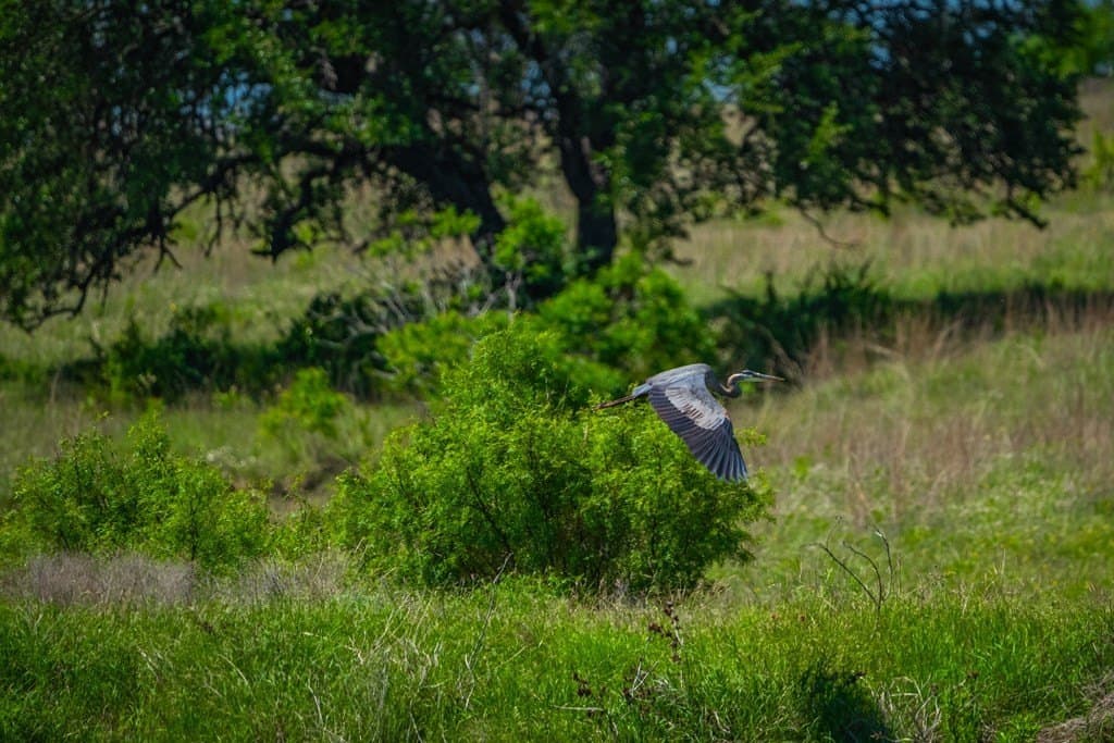 740 acres in Lampasas County - photo 28
