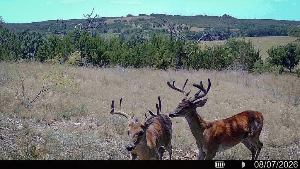 740 acres in Lampasas County - photo 42