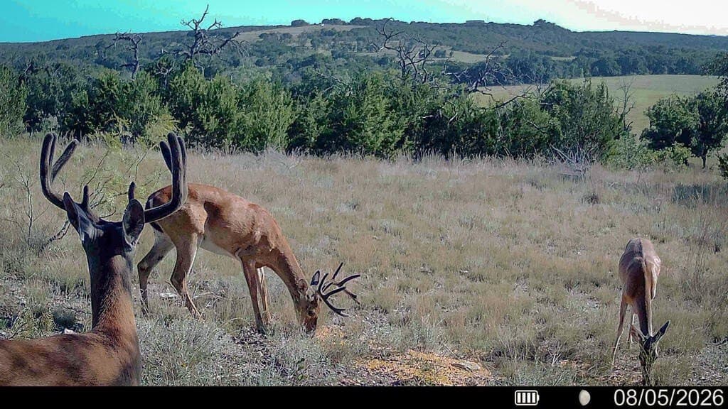 740 acres in Lampasas County - photo 43