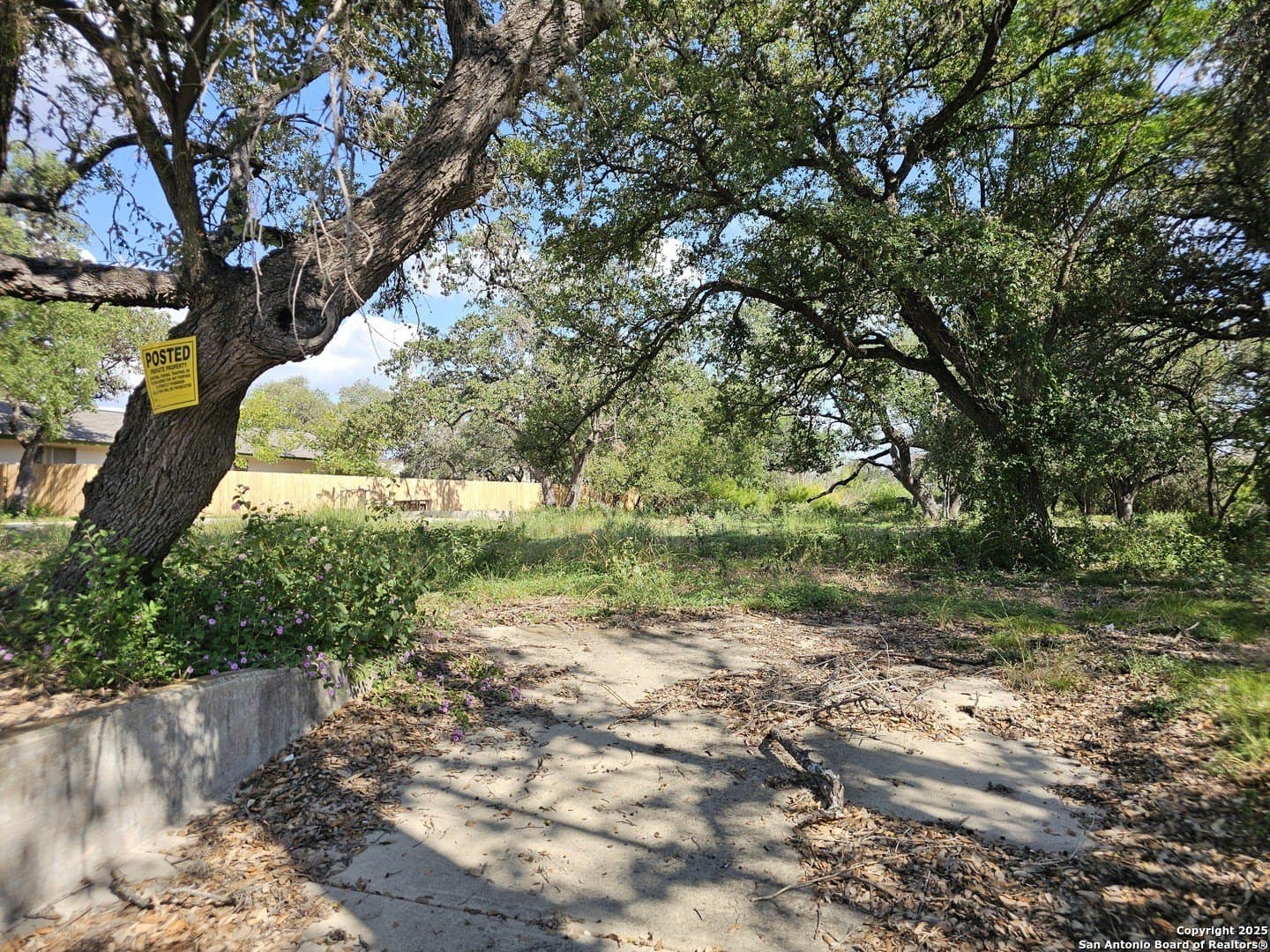 0.73 acres in Bexar County - photo 7