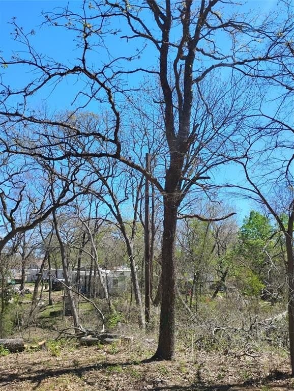 0.75 acres in Fannin County gallery image 3