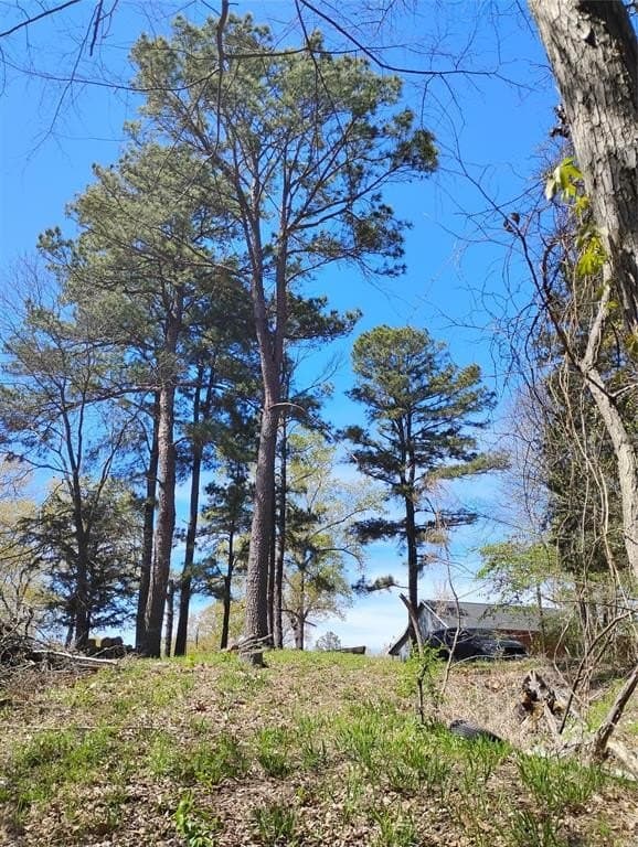 0.75 acres in Fannin County gallery image 2
