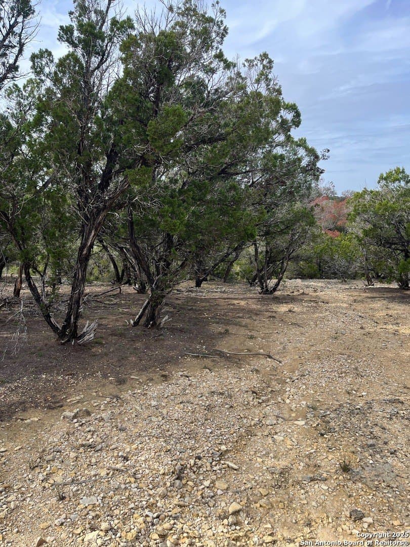 0.23 acres in Bandera County gallery image 2