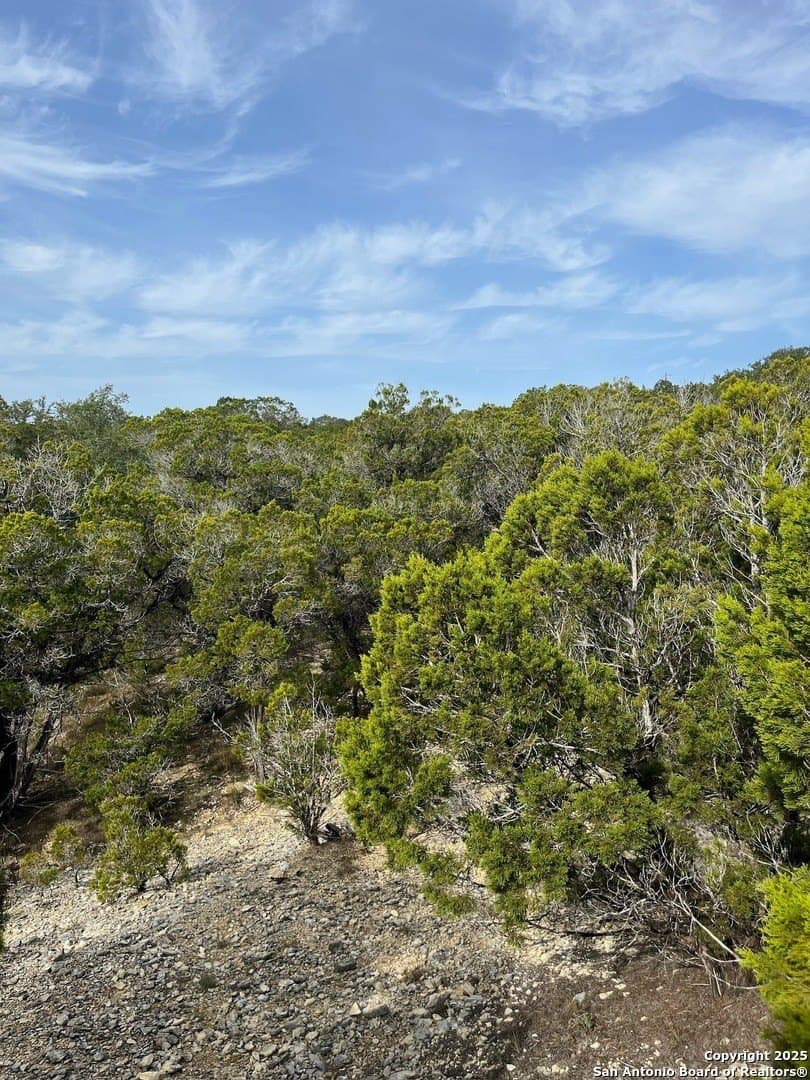 0.23 acres in Bandera County - photo 6