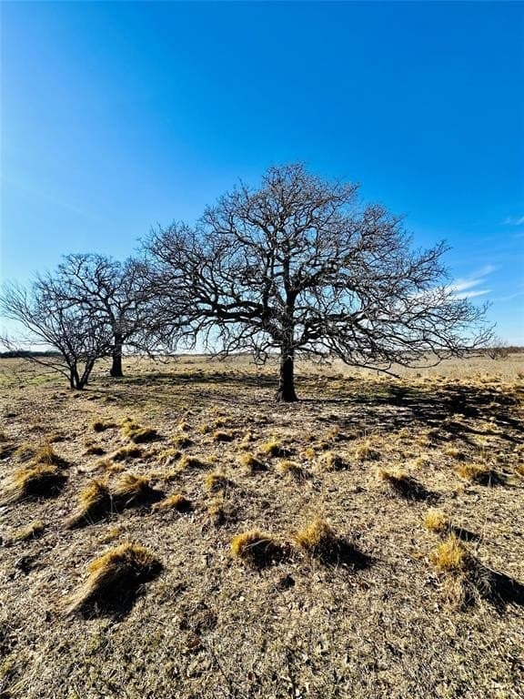 60 acres in Callahan County featured view