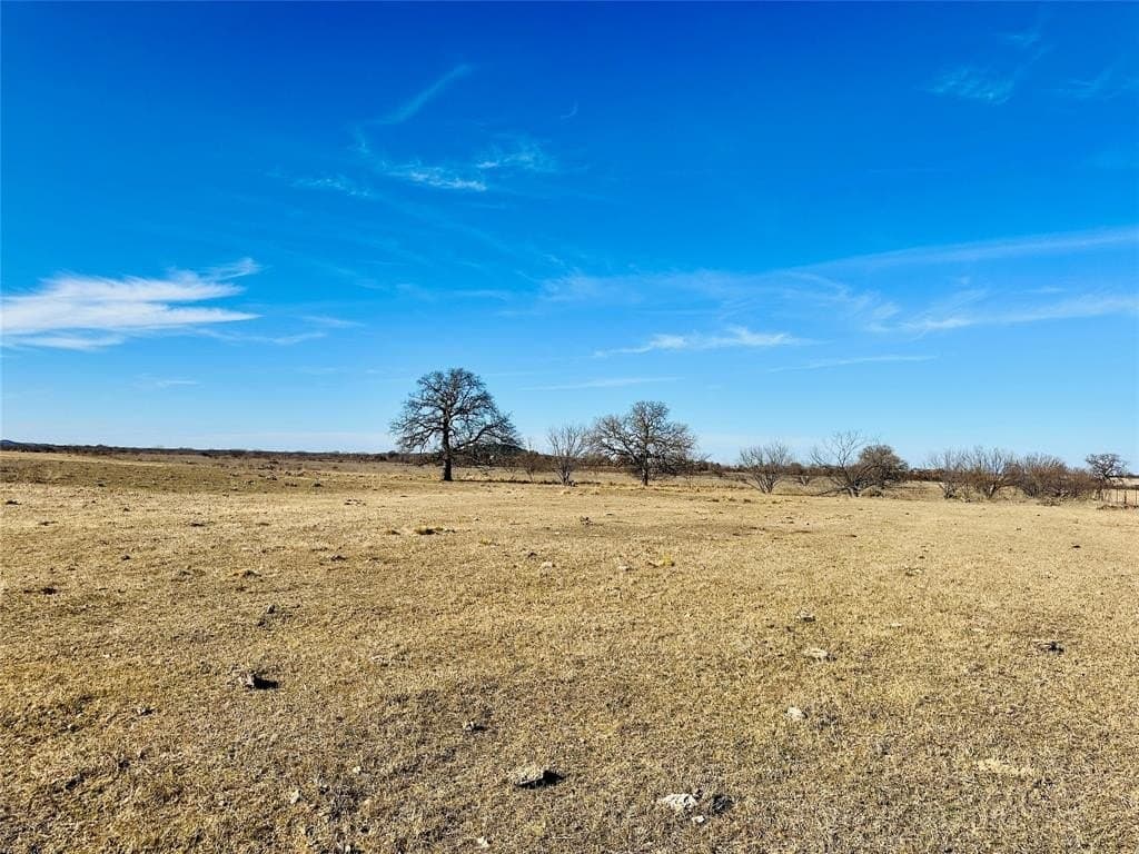 60 acres in Callahan County gallery image 4