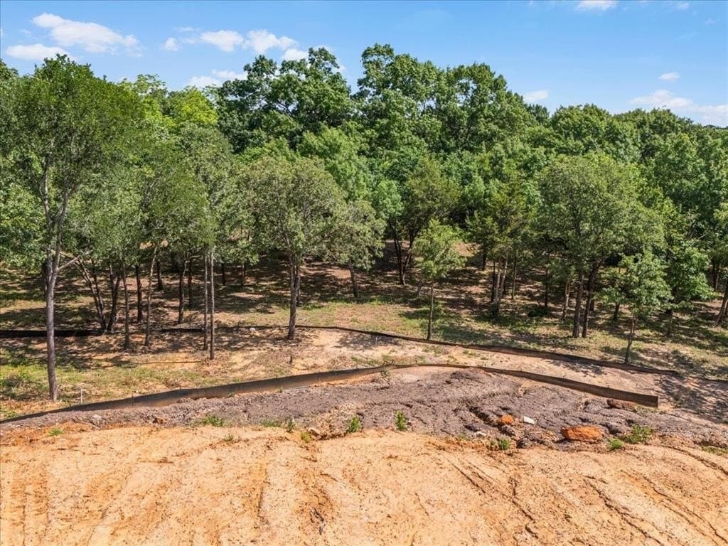 1.15 acres in Tarrant County gallery image 4