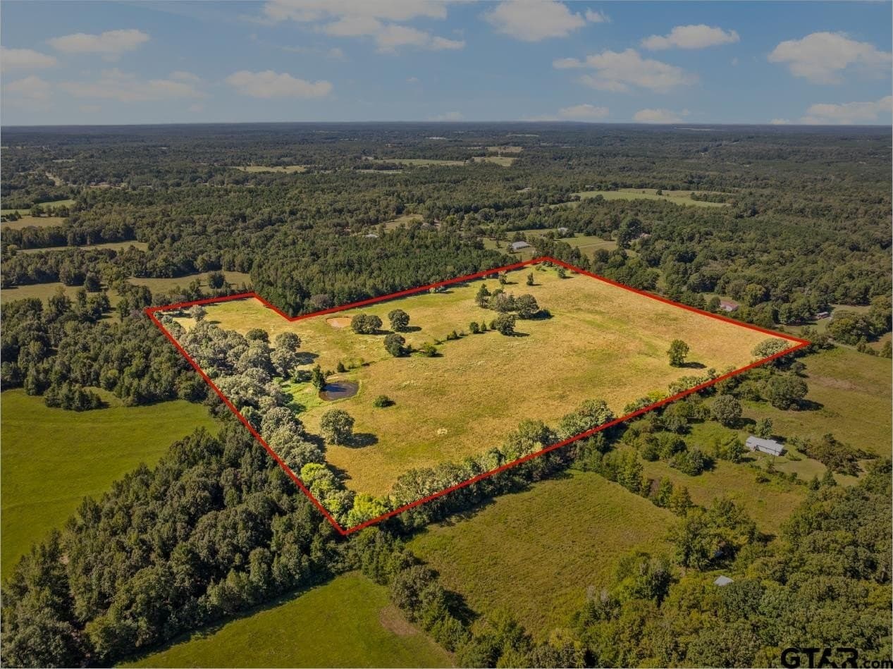 40 acres in Cass County gallery image 3