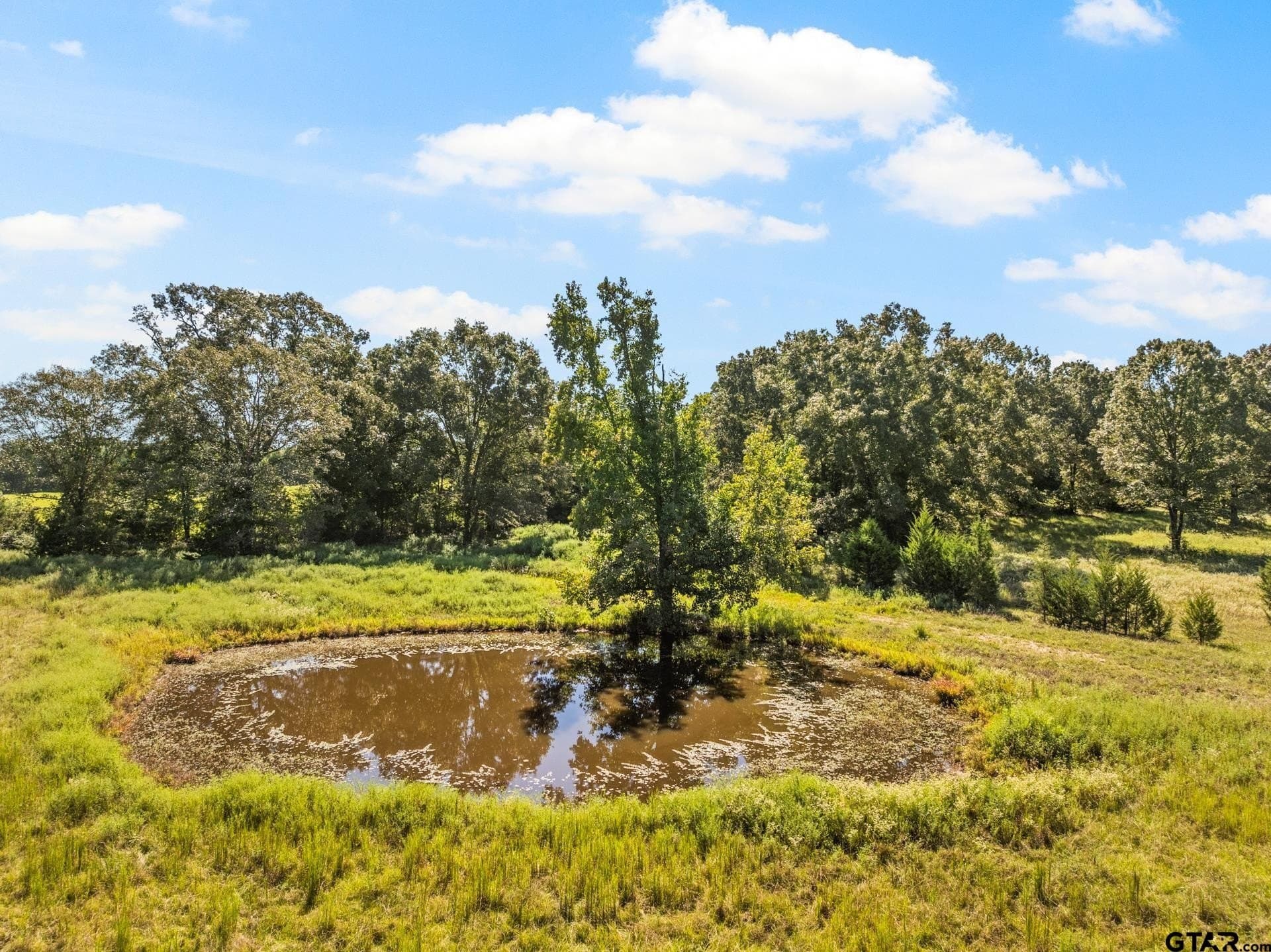 40 acres in Cass County gallery image 4
