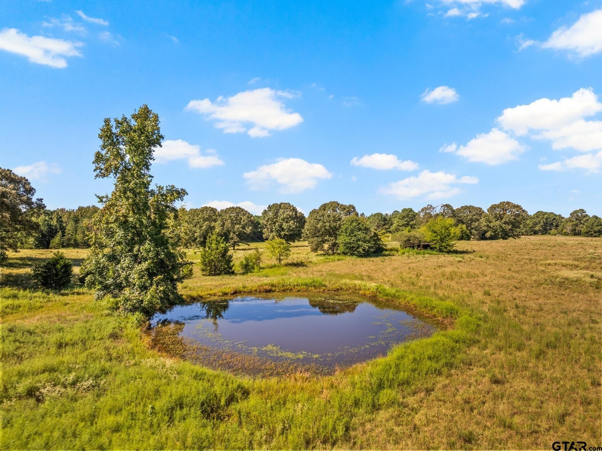 40 acres in Cass County gallery image 2