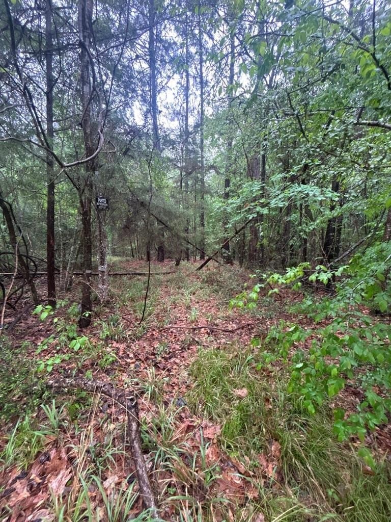 6.4 acres in Texas County featured view