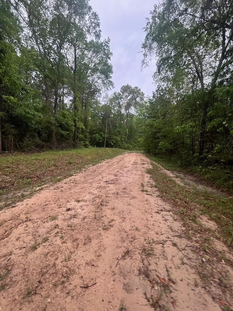 6.4 acres in Texas County gallery image 3