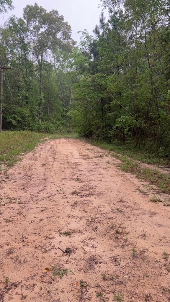 6.4 acres in Texas County - photo 6