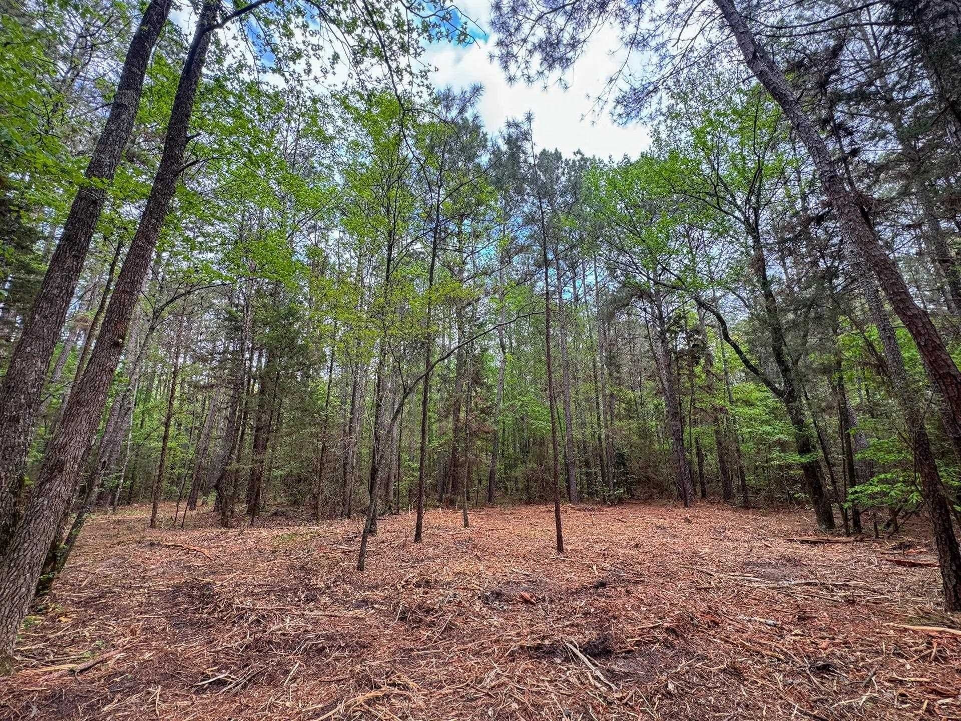 12.1 acres in Cass County gallery image 2