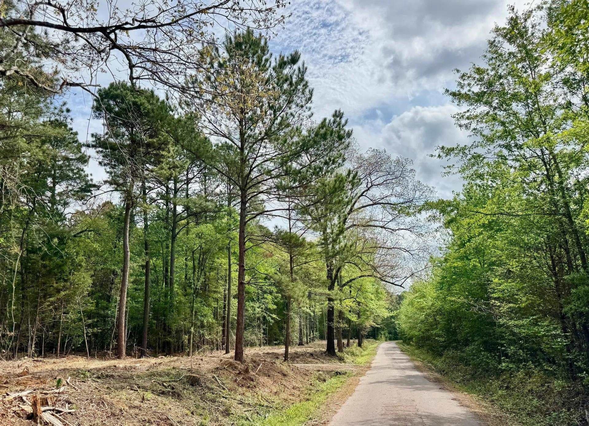 12.1 acres in Cass County featured view