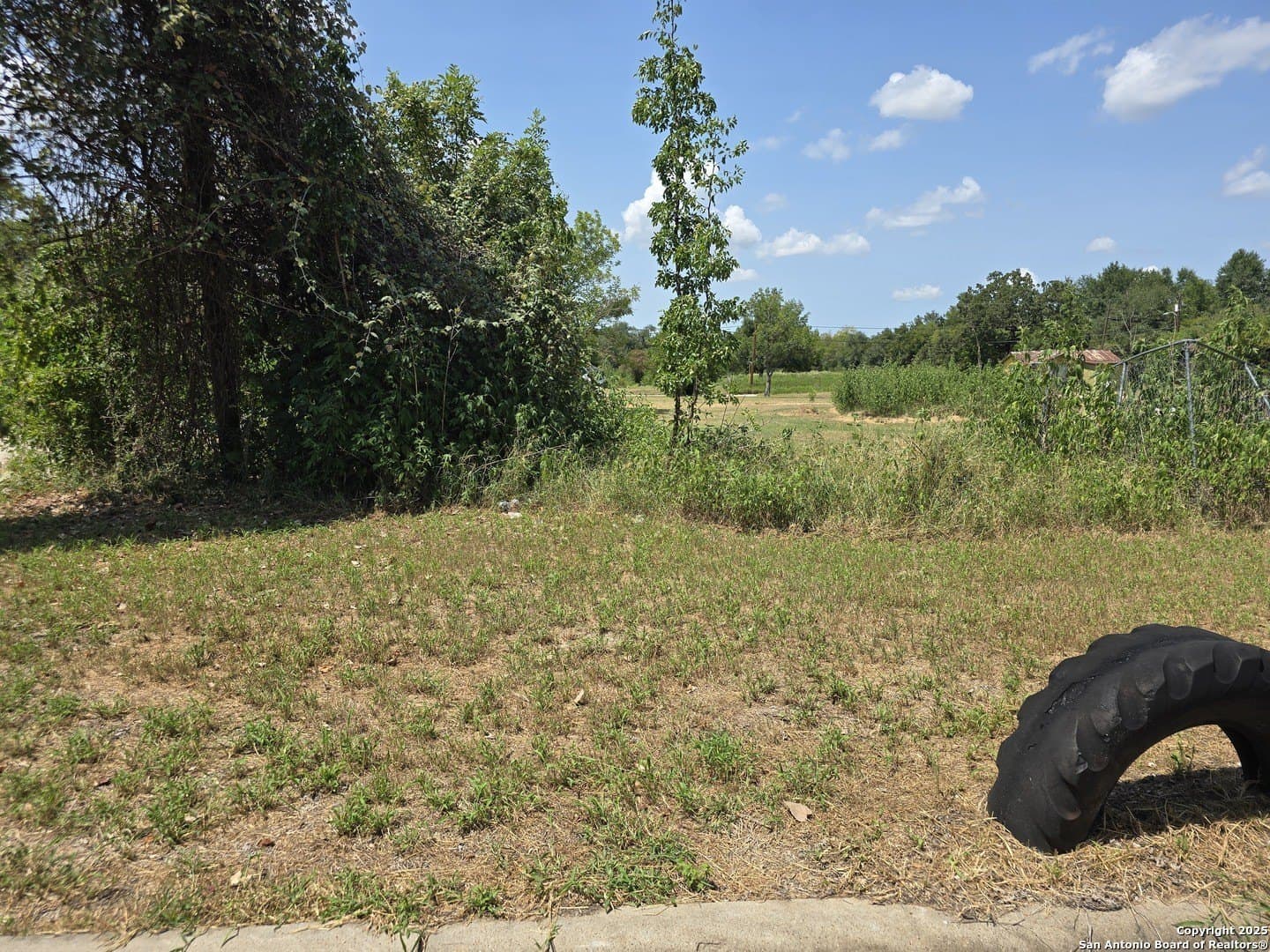 0.9 acres in Milam County gallery image 3