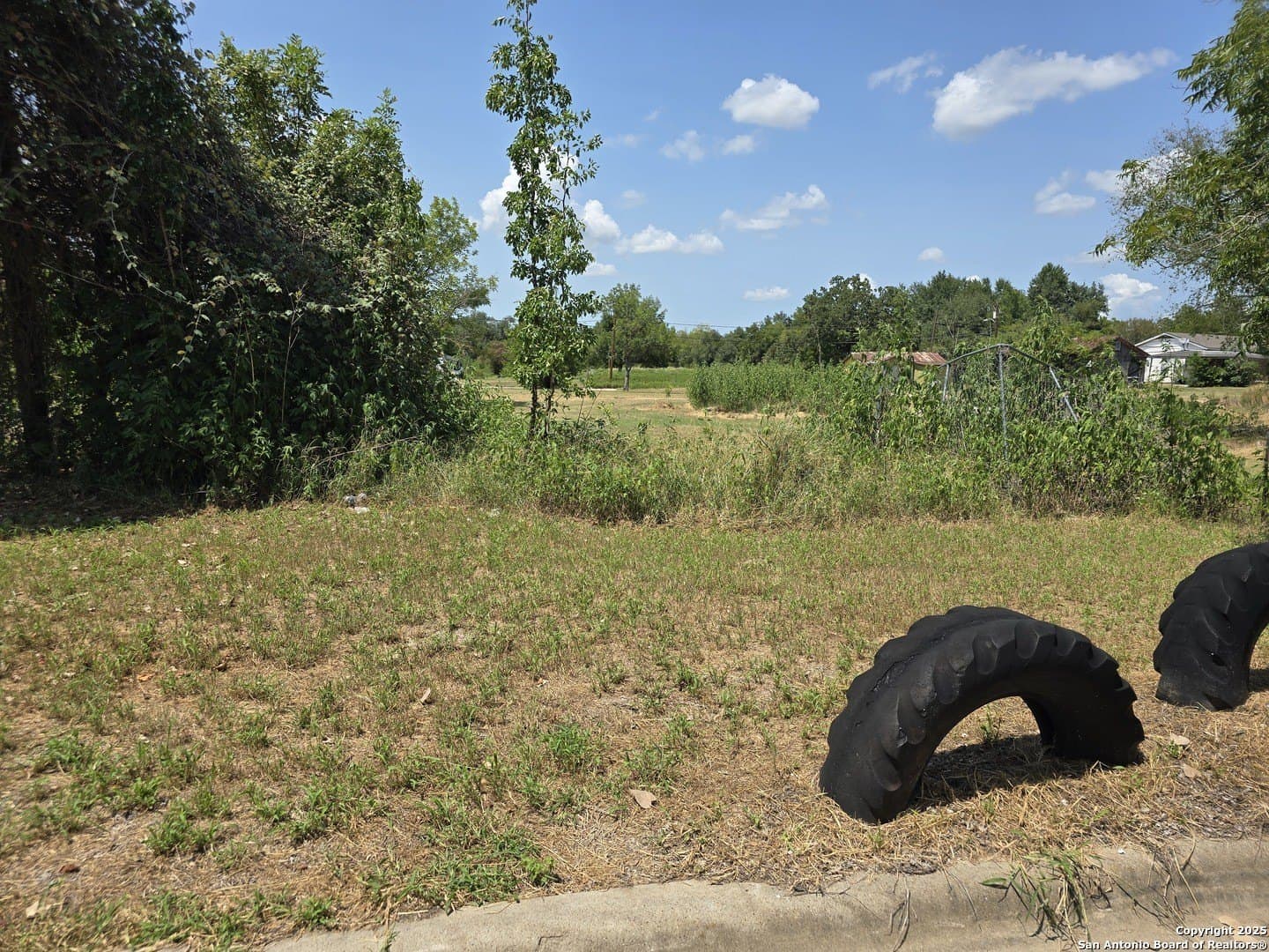 0.9 acres in Milam County gallery image 2