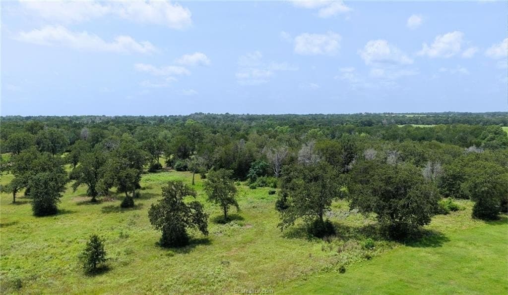 4.17 acres in Lee County - photo 6